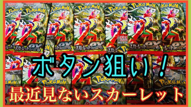 【ポケカ】約1年寝かしたスカーレット開封！ボタンが欲しいけん！【おはぎおはぎTV】