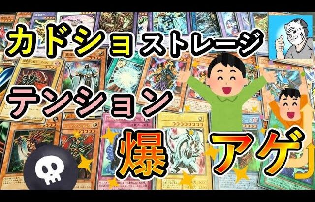 【遊戯王】カードショップ含め3店舗の成果が最高でした【初期】