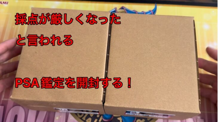 【PSA鑑定】PSA鑑定に出したカードを開封する！【ポケモンカード・ワンピースカード】