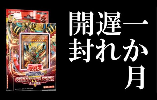 【＃遊戯王】ちゅ、投稿遅れてゴ・メ・ン★STRUCTURE DECK R(ストラクチャーデッキR)- 炎王の急襲 -【＃開封】