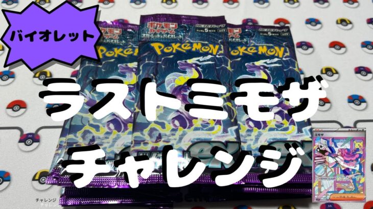 【ポケカ】バイオレットバラパックラスト開封!! ミモザ来るか…⁉️