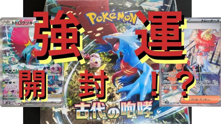 「ポケモンカード」古代の咆哮　開封の喜び！！