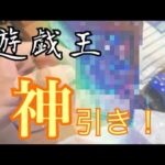 【遊戯王】弟が遊戯王を沢山買ってきたのでそれをただひたすら開封するだけの動画を撮ったらガチ神引きした笑笑笑