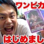 【開封】ワンピースカードのガチデッキ組んで始めました！！