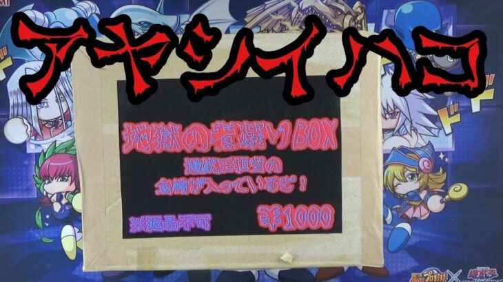 【遊戯王】とても怪しい箱と福袋的な袋を開封したら…