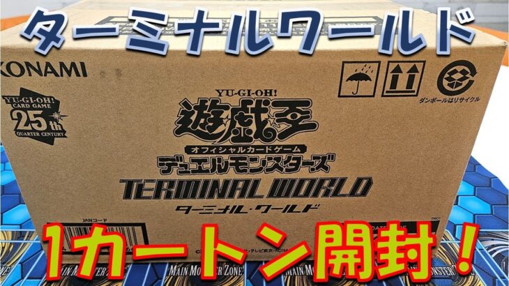 【遊戯王】ターミナルワールド1カートン開封！ 美しきシークレットパラレルレア【開封】【TERMINAL WORLD】