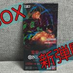 【双璧の覇者開封】ワンピースカード最新弾‼️双璧の覇者1BOX開封チャレンジ😆✨推しキャラゾロは引けるのか🤩✨