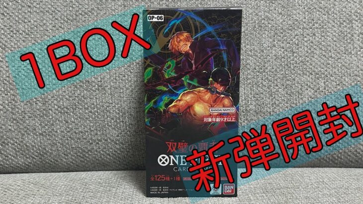 【双璧の覇者開封】ワンピースカード最新弾‼️双璧の覇者1BOX開封チャレンジ😆✨推しキャラゾロは引けるのか🤩✨