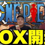 【ワンピースカード】入手困難！1BOX開封やってみた【謀略の王国】