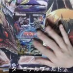 【#遊戯王】ターミナルワールドを1BOX【#開封】2023年11月26日