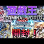 遊戯王最新弾【ターミナルワールド】を開封!!2008年のターミナル登場から現代で超強化!!