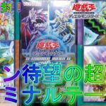 【遊戯王】ターミナル出身の4テーマが超強化！？【ターミナル・ワールド】【TERMINAL WORLD】25th絆と結束の魔術師オリパラッシュデュエル氷結界霊獣ジェネクスインフェルノイド