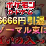 【ポケモンカード】66666円の引退品を開封したら爆アドだった！