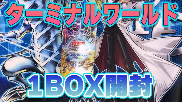 【遊戯王】本日発売の新弾BOX　ターミナルワールドを1BOX開封！　＃遊戯王　＃ターミナルワールド