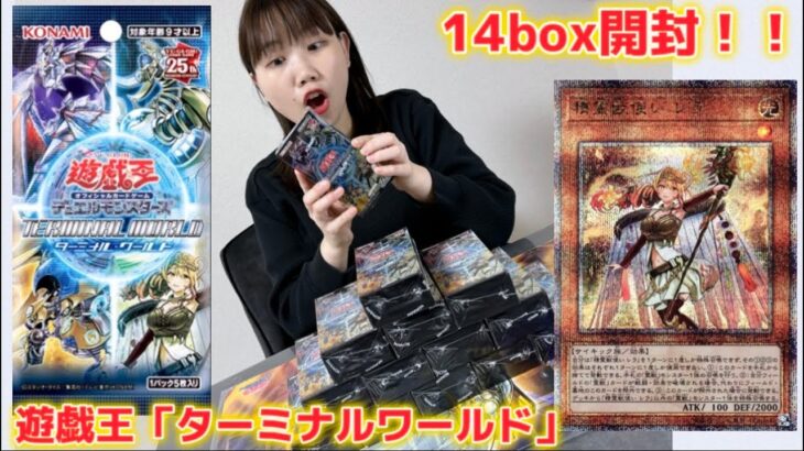 【LRのエンタメ】鬼畜封入率！遊戯王「ターミナルワールド」14box開封！！#遊戯王　#yugioh #開封の儀