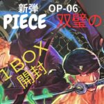 ONE PIECEカード【双璧の覇者】1BOX開封