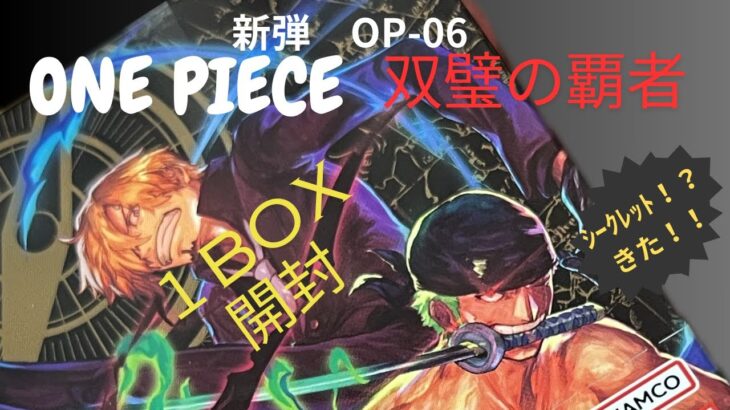 ONE PIECEカード【双璧の覇者】1BOX開封