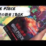 ONE PIECEカード　双璧の覇者１BOX開封したら少しだけ報われたわ