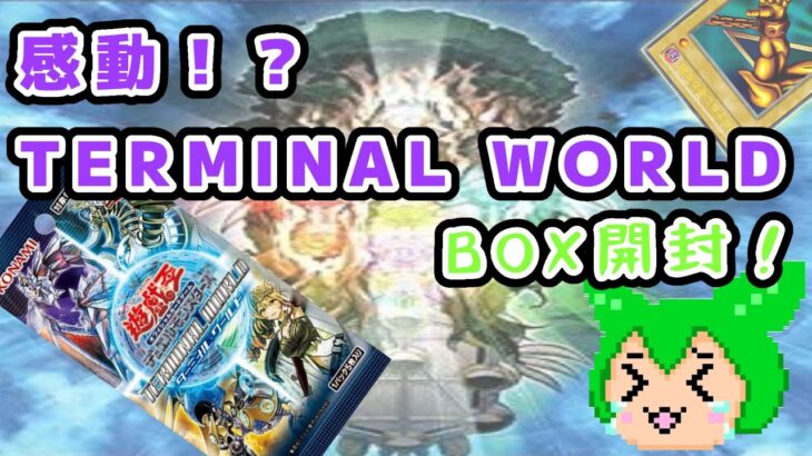 【#遊戯王】感動！？TERMINAL WORLD BOX開封！【#ずんだもん】