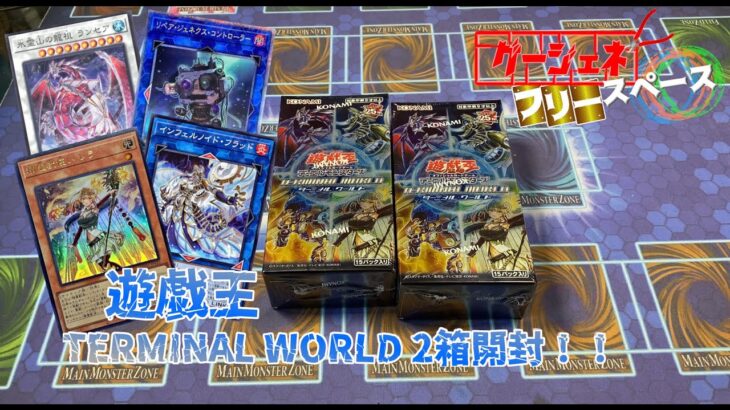 【遊戯王開封】インフェルノイドや霊獣が欲しいくて、TERMINAL WORLD　2BOX開封！！