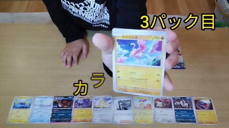 今回はトラくん！トラくんがポケモンカードを開封！！（チャンネル登録１２０人ありがとうございます！）