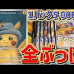 【開封動画】ゴッホピカチュウは欲しいに決まってんだろ！！！！！【ポケカ】