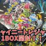 シャイニートレジャー1BOX開封！！ポケモンカード