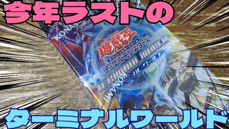 【#遊戯王】2023年最後のターミナルワールド開封！クォーターレア引いて締めくくりたい！