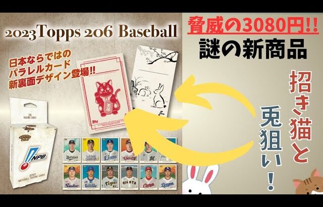 【開封動画】業界が震える価格破壊!! 2023 TOPPS 206 NPB ベースボールカード