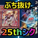 [遊戯王]これで最後だ！！20%OFFのターミナルワールド開封で25thシクをぶち抜き最終決戦［TERMINAL WORLD]