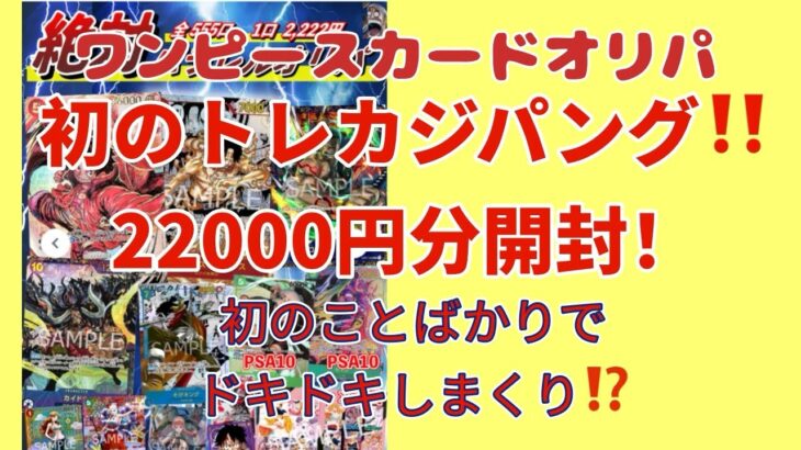 【ワンピカード】ワンピースカードオリパ開封！ジパング22220円分！爆アドきた⁉️