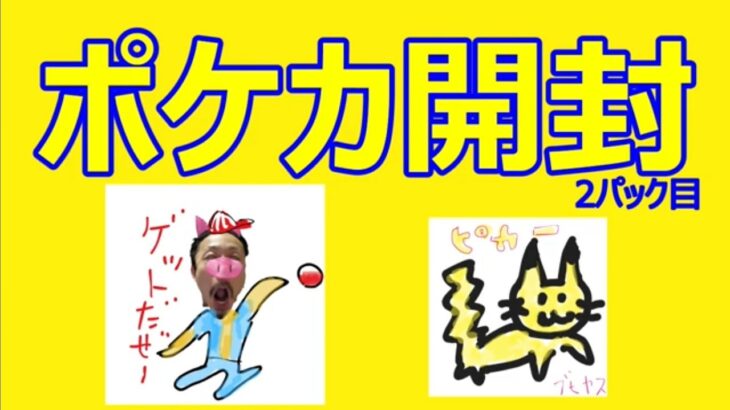 【ポケモンゲットだぜ～?】 ポケカ開封レビュー 23ぶひ