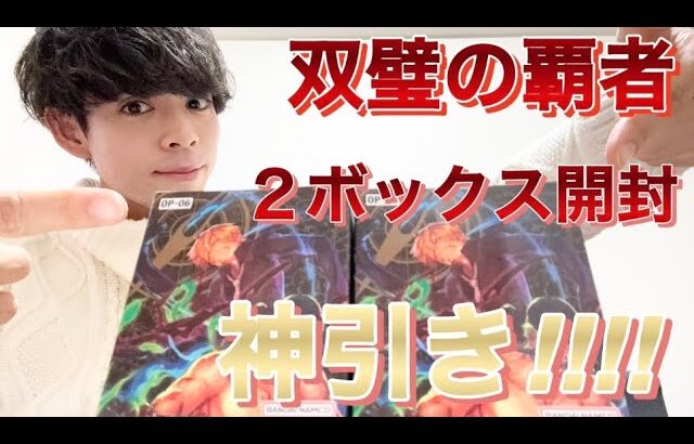 ワンピースカード開封‼︎‼︎ 『双璧の覇者』2BOX開けたら今回もまさかの神引き‼︎‼︎