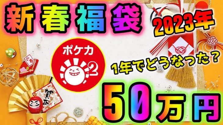 【ポケカ】ハレツーの50万円福袋を1年寝かせて開封してみたらポケカの高騰がとんでもないことに気づける驚愕の動画に仕上がった【ポケモンカードゲーム】