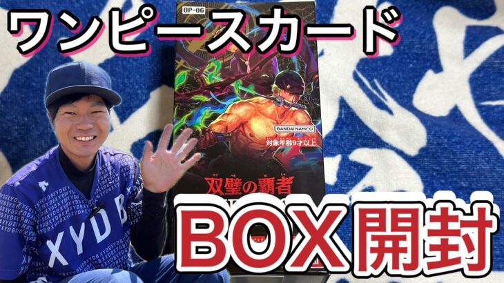 ワンピースカード【双璧の覇者】BOX開封