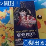 【ONE PIECEカードゲーム】再販したロマドン開封！！