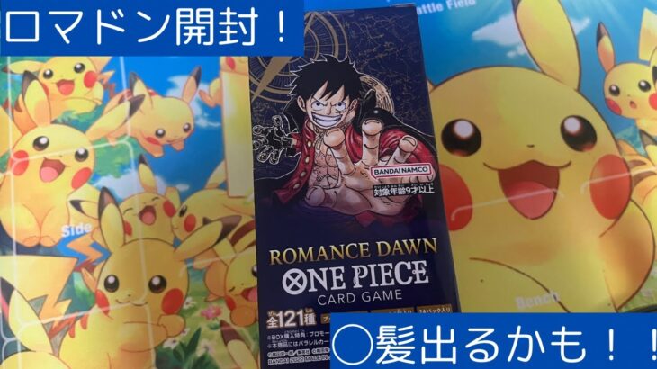 【ONE PIECEカードゲーム】再販したロマドン開封！！