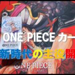 【ONE PIECE】ONE PIECE カードゲーム　新時代の主役　開封【開封】