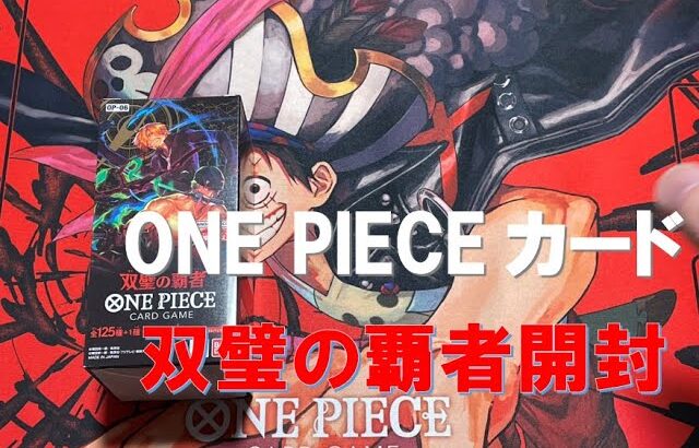 【ONE PIECE】ONE PIECEカード　双璧の覇者　第6弾　開封【開封動画】