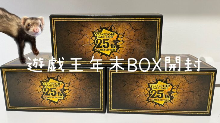 【遊戯王】【年末箱】QUARTER CENTURY DUELIST BOX開封したよ🧡