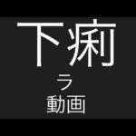 【ワンピース】下痢ラ動画。ワンピースカード開封。