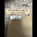 【ポケカ】 ポケモンカード お楽しみ袋 オリパ 開封 【高額】