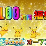 【ポケカ】100万円ポケカ福袋開封の儀！凛子さんが手掛けるマイステディのオープン記念福袋を購入、開封したら幸せ度130%のピカチュウ祭りだった【ポケモンカードゲーム】