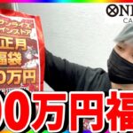 【10秒で完売】ワンピカード100万円福袋を開封したら奇跡起きた！