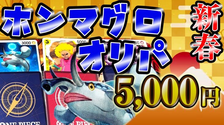 【ワンピース】1口5000円ホンマグロオリパ開封！#ワンピース #トレカラフテル