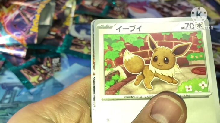 【ポケカ開封】ポケモンカードゲーム スカーレット＆バイオレット 拡張パック 黒炎の支配者 1BOX開封