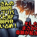 【遊戯王】だるまさんのゲリラゴリパ 1P 4,000円オリパを残っていた36P 144,000円分買い占めてみたら…奇跡起きた？！