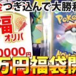 【ポケカ】退職金で購入したハレツー20万円福オリパを開封した結果・・！