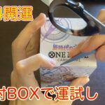 【祝】2024年の運勢をワンピースカードの未開封BOXに委ねてみた