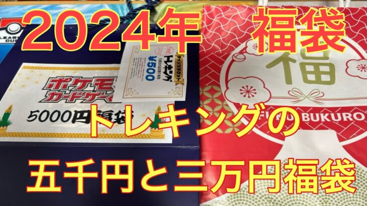 秋葉原トレキングの30000円オリパ開封した件【ポケカ】【福袋開封】